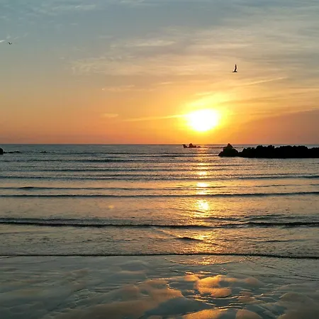 فندق Viadero نوخا